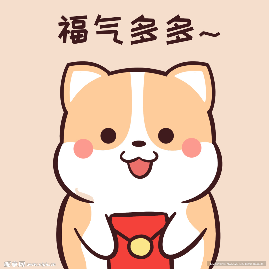 柯基可可