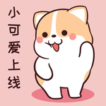 柯基可可