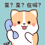 柯基可可