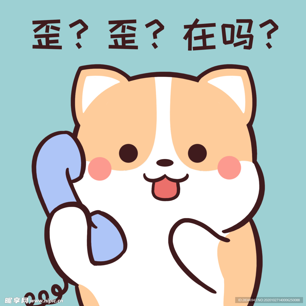 柯基可可
