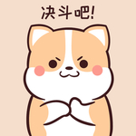 柯基可可