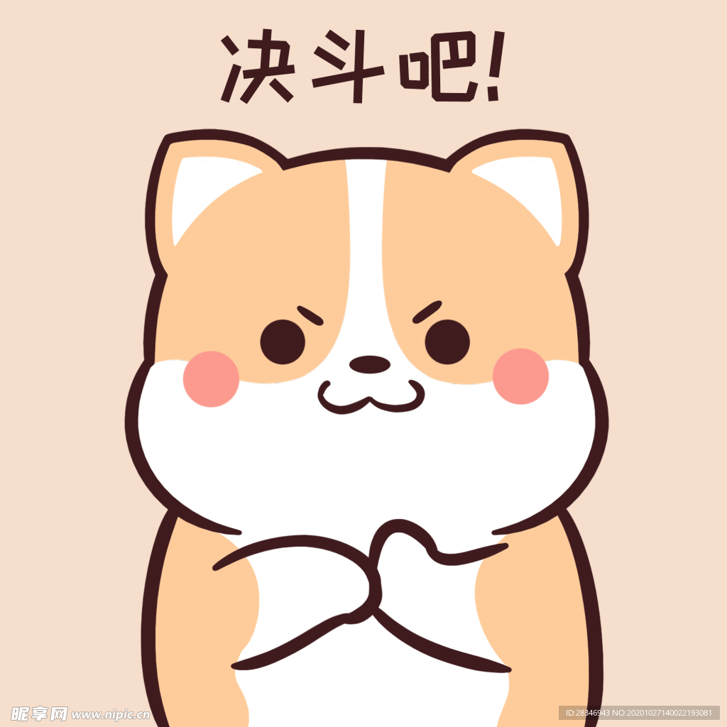柯基可可