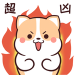 柯基可可