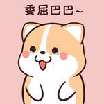 柯基可可