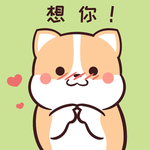 柯基可可