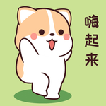 柯基可可