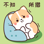 柯基可可