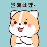 柯基可可