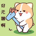 柯基可可