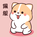 柯基可可