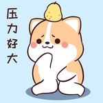 柯基可可