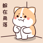 柯基可可