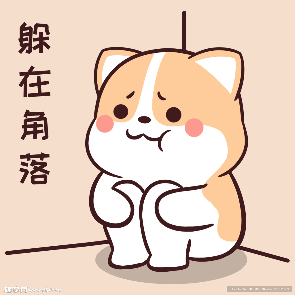 柯基可可