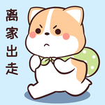 柯基可可