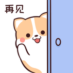 柯基可可