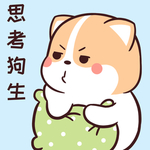 柯基可可