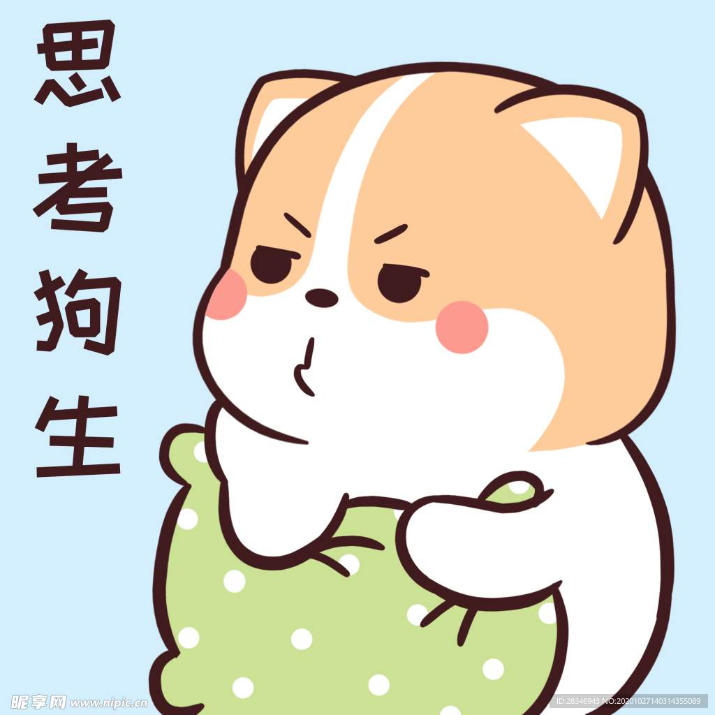 柯基可可