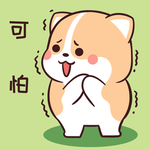 柯基可可