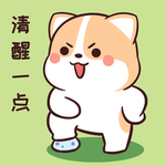 柯基可可
