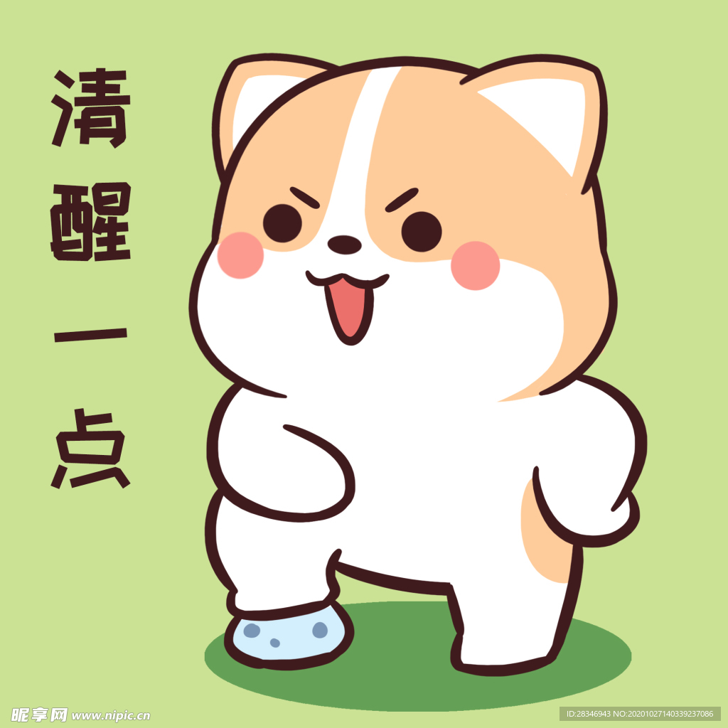 柯基可可