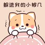 柯基可可