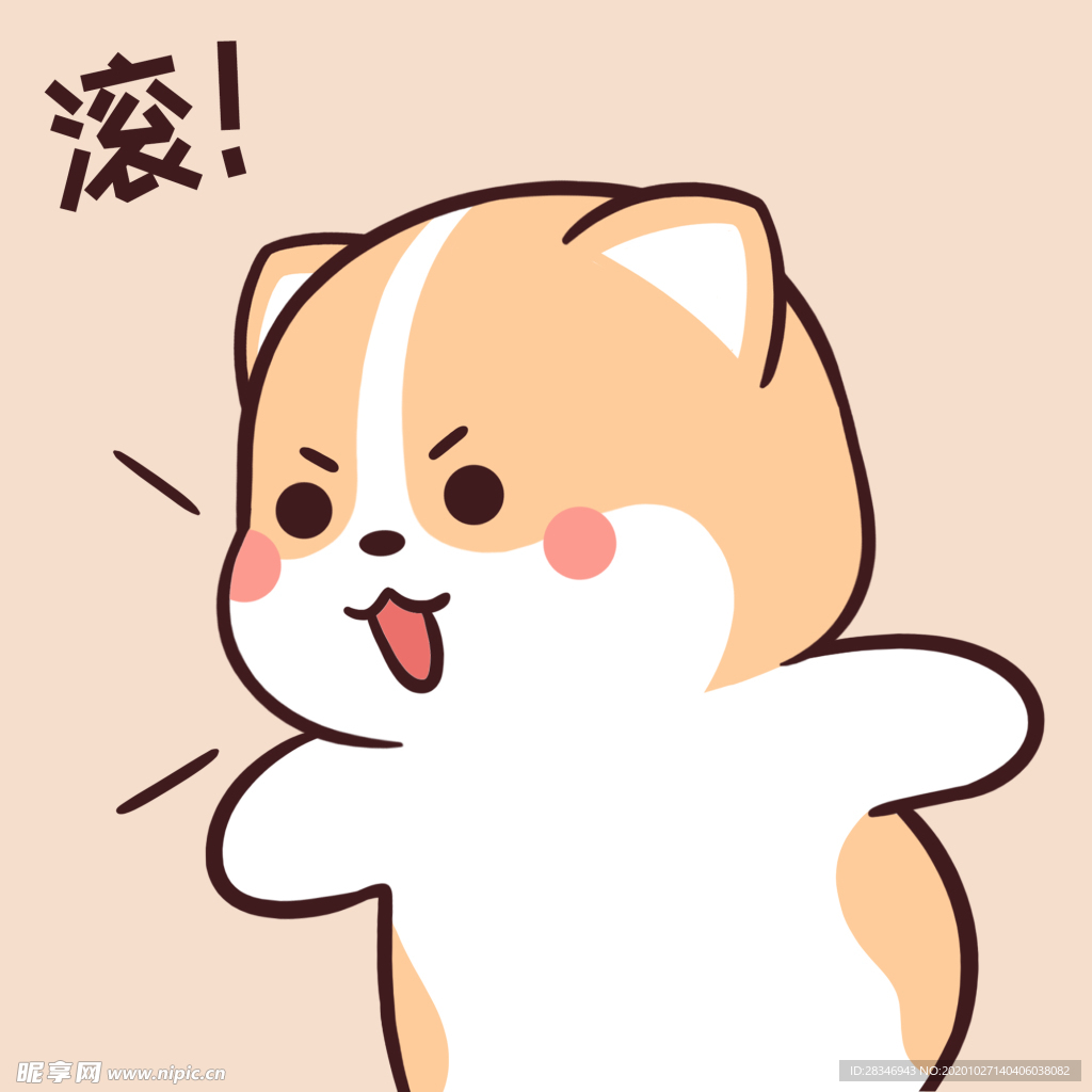 柯基可可