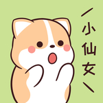 柯基可可