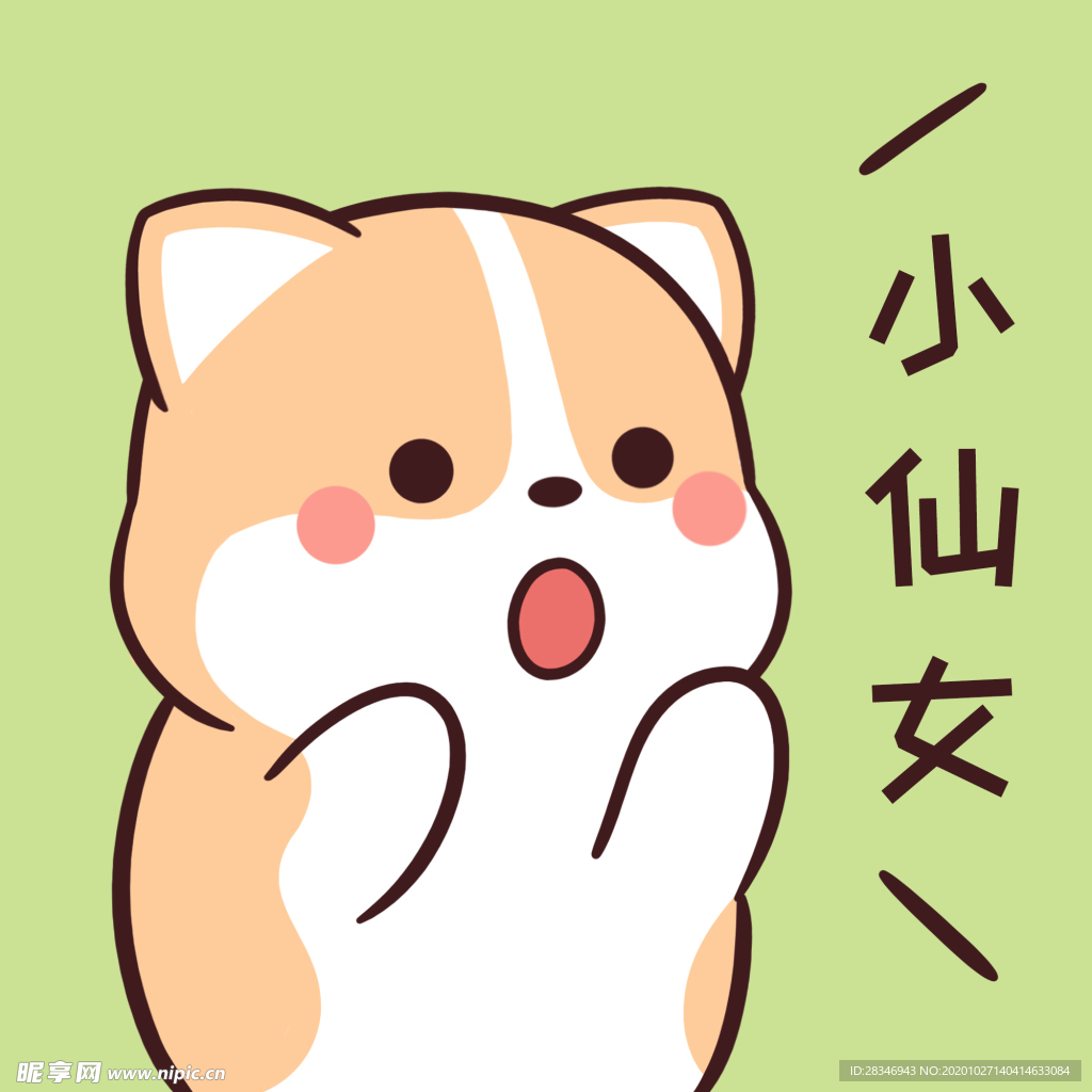柯基可可