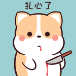 柯基可可