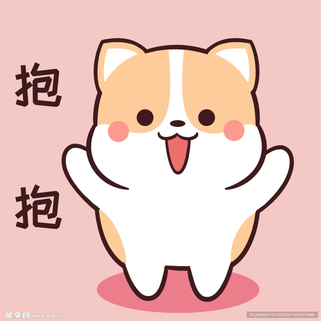 柯基可可