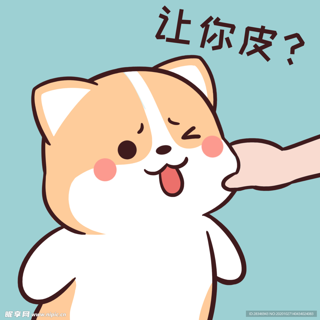 柯基可可