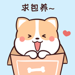 柯基可可
