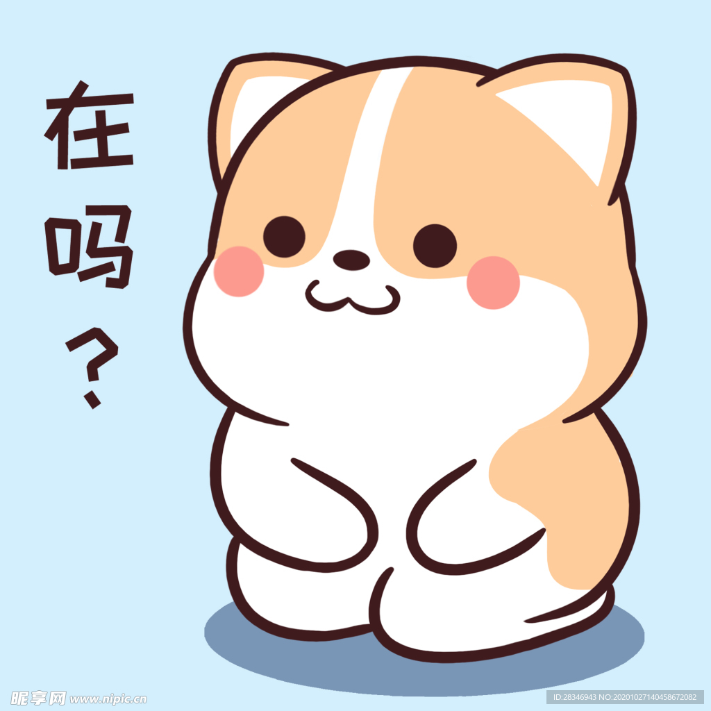 柯基可可