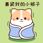 柯基可可