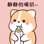 柯基可可