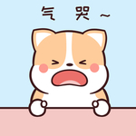 柯基可可