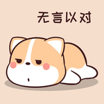 柯基可可