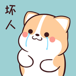 柯基可可
