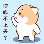 柯基可可
