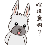兔小乐