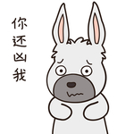 兔小乐