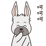 兔小乐