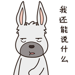 兔小乐