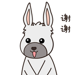 兔小乐
