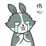 兔小果