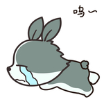 兔小果