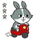 兔小果