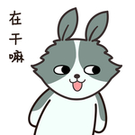 兔小果