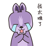 兔小壮
