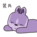 兔小壮